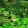 Great way to experience local culture